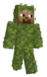 Minecraft skin — Classic model