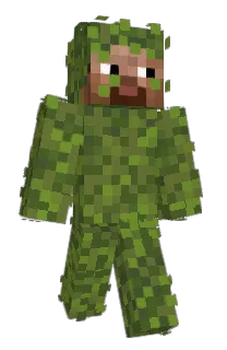 Front of Minecraft skin