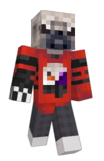 Front of Mrtrust's skin