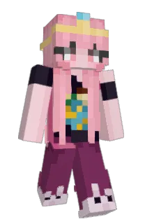 Front of stelolents's skin