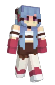 Skin preview
