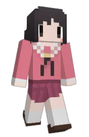 Skin preview