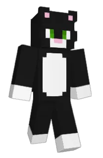 Front of Cevis's skin