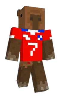 donwonbruh's Minecraft skin