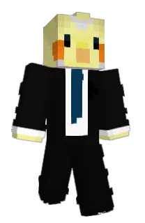 Front of LS_MR's skin