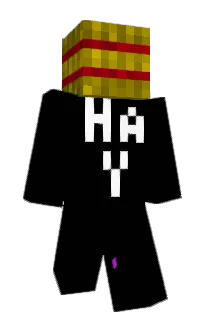 Front of Minecraft skin