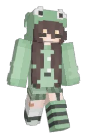 Skin preview