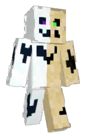 Skin preview