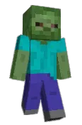 shadowninja7065