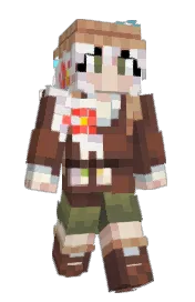 Skin preview