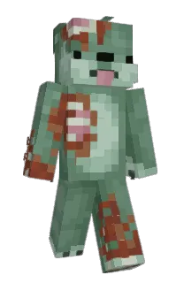 Front of kruzona's skin