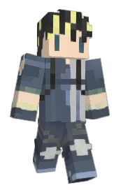 Skin preview