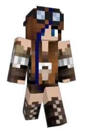 Skin preview