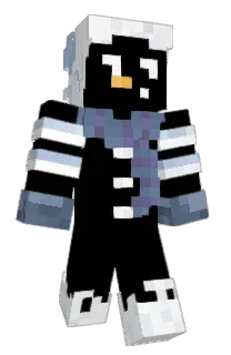 Front of visxionary's skin