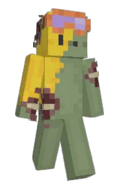 Skin preview