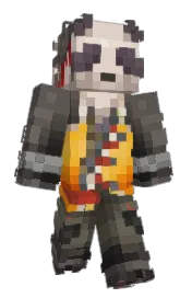 Skin preview