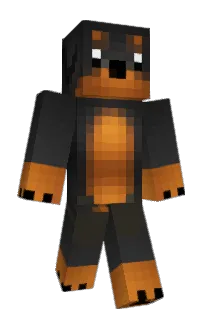 Front of Hailcast's skin