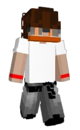 bracken and graphite Minecraft skin — Slim model