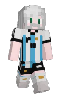 Front of Floptomized's skin