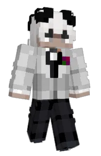 Front of TimlunYT's skin