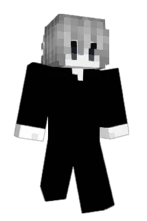 61o00 Minecraft avatar full body