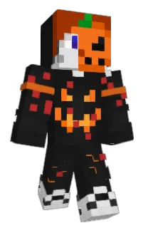 Front of neidman's skin