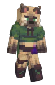 Skin preview