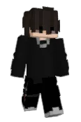 ELM_I_R