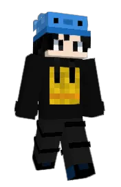 Skin preview
