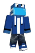 pippip304