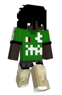 Front of StaySolid's skin