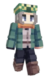 Skin preview