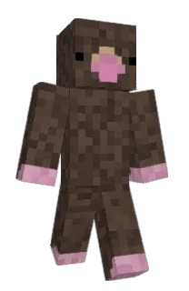 Front of Minecraft skin