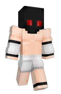 Front of SON05's skin