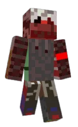 zxchomezxc's Minecraft skin wearing the Migrator cape