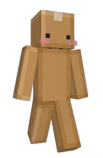 Front of Minecraft skin