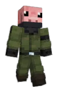 PVP1G
