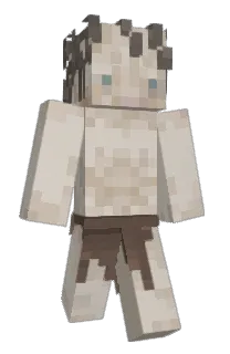 Front of heremitus's skin