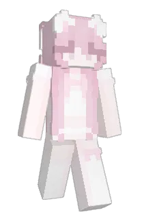 Front of Alenne's skin
