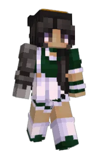 ninjakidRS21's Minecraft skin