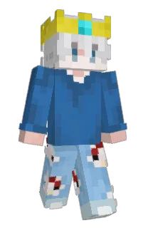 Front of Petko11223344's skin