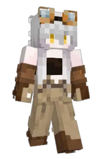 Front of orcaVGC's skin