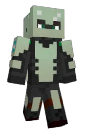 Skin preview