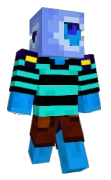 Minecraft skin — Classic model