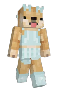 Front of Minecraft skin