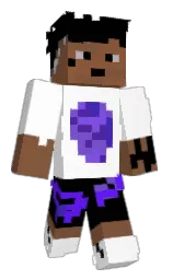 white and black Minecraft skin — Classic model