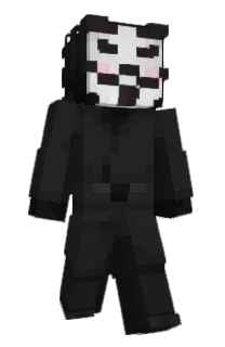 Front of Aceyer's skin