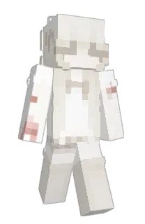 Front of goyance's skin