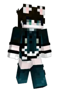 Front of WAREQ_54's skin