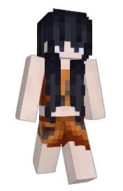 Skin preview